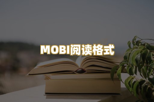 MOBI阅读格式